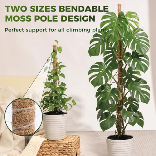 4 Pack Moss Pole Monstera Plant Support, 2 Pack 28" & 2 Pack 48" Bendable Plant Stakes Made of Real Coco Coir Support for Climbing Indoor Plants, Tall Moss Stick Trellis for Pothos & Philodendron - view 3