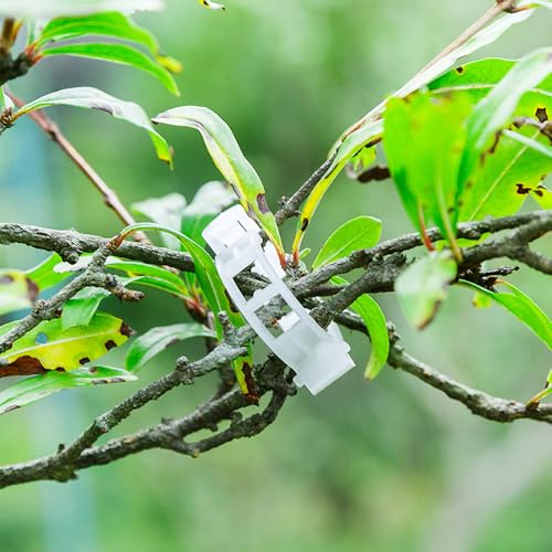 300 Pcs Plant Clips - Plastic Plant Clips for Climbing Plants,Reusable Plant Support Clips for Tomatoes, Vines,Cucumbers, and Climbing Plants,Gentle & Secure Garden Clips for Indoor & Outdoor Use - view 5