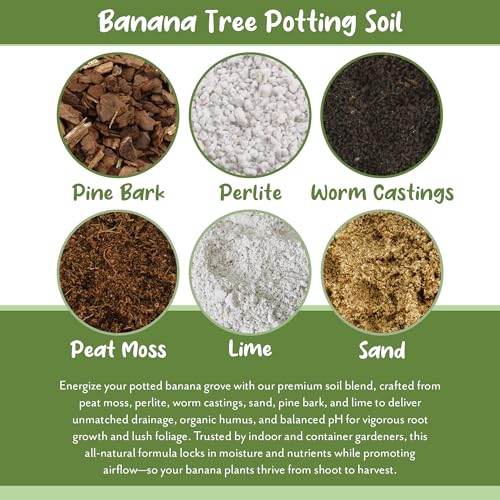 Banana Tree Potting Soil Mix (12 Quarts) – Hand-Blended Indoor/Outdoor Mix for Healthy Banana Plants – Enhances Drainage & Root Support – Made in USA - view 5