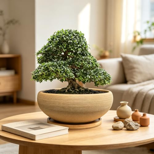8 inch Round Unglazed Ceramic Bonsai Pot with Bamboo Tray, Shallow Plain Pottery Succulent Planter with Drainage Hole (8”) - view 6