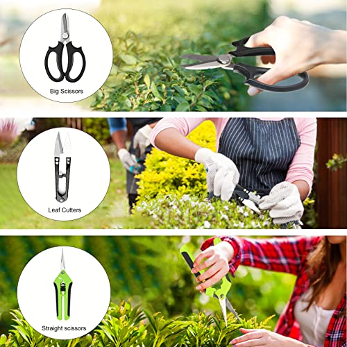 Bonsai Tree Kit, 20 Pcs Gardening Succulent Tools Set, Bonsai Tool Kit Include 262 Feet Bonsai Wire, 29.5"x29.5" Plant Repotting Mat, Bonsai Scissors, Pruning Shears, Unique Gift for Indoor Gardening - view 4