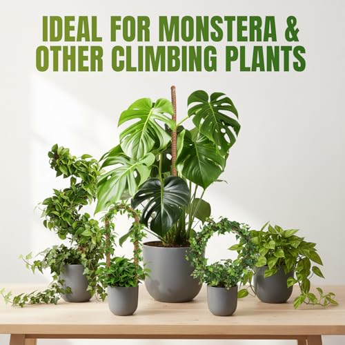 Bendable Moss Pole for Monstera, 2-Pack, 47 Inch - view 5
