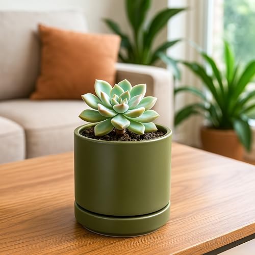 4.7 Inch Ceramic Planter Pot, Olive, 94-O-B-J - view 6