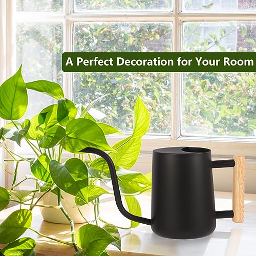 Plant Watering Can,35oz Metal Watering Can,Stainless Steel Indoor Plants with Long Curved Spout,Small Bonsai Outdoor Garden Modern Decorative(Black) - view 3