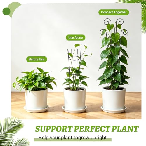Plant Trellis 2 Pack Trellis for Potted Plants 29.96 in Trellis for Climbing Plants Indoor Plant Support Expandable Metal Monstera Plant Support for Pothos Ivy with Plant Ties - view 5