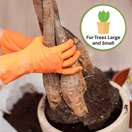 Money Tree Potting Soil, 4 qt, Indoor Coco Coir Mix - view 4