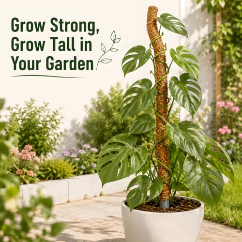 Moss Pole for Monstera, 3-Pack 50in PVC Plant Support Pole - view 6