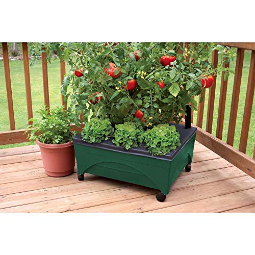 2341-1HD City Picker Raised Bed Self Watering and Improved Aeration – Mobile Unit with Casters-Hunter Green Grow Box and Seed Starter - view 2