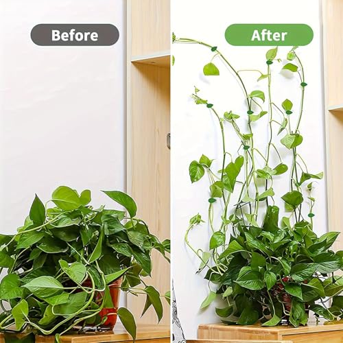 20 Pieces Plant Climbing Wall Fixture Clips with with Acrylic Adhesive Sticker Leaf Fixer Invisible Wall Vines Fixing Clips for Climbing Plants Plant Wall Climbing Clips for Wire Fixing, Green - view 7
