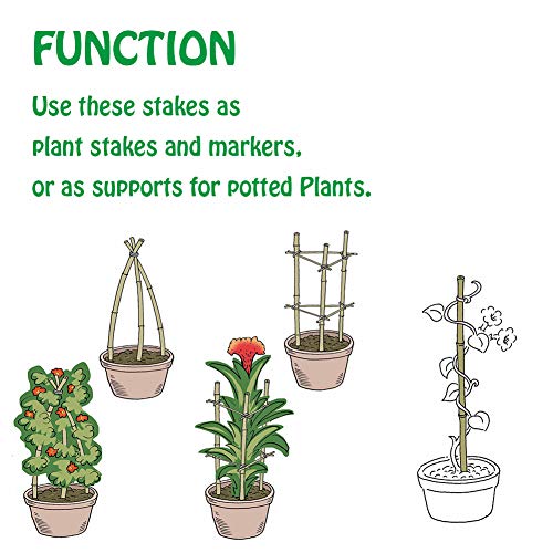 Natural Bamboo Stakes 3 Feet, Eco-Friendly Garden Stakes, Plant Stakes Supports Climbing for Tomatoes, Trees, Beans, 25 Pack - view 4