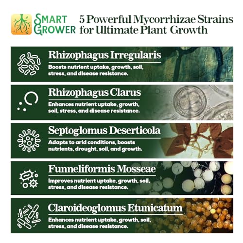 Mycorrhizal Fungi Plant Root Enhancer 5-Strains 125 Gram, Treats 125 Plants - view 2