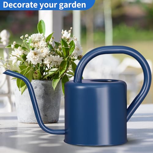 Watering Can, Stainless Steel Watering Can for Indoor & Outdoor Plants, 1L/35oz Long Spout Water Can with Handle, Rust-Proof Plant Watering Pot for House Plants, Garden Flowers - view 4