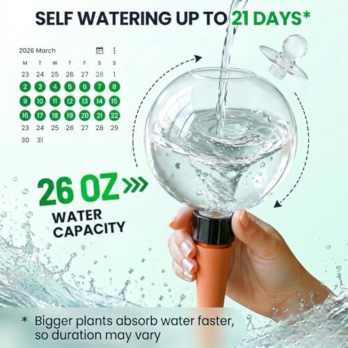 6 Pack 26 oz Extra Large Plant Self Watering Globes to 3 Weeks Watering - view 3