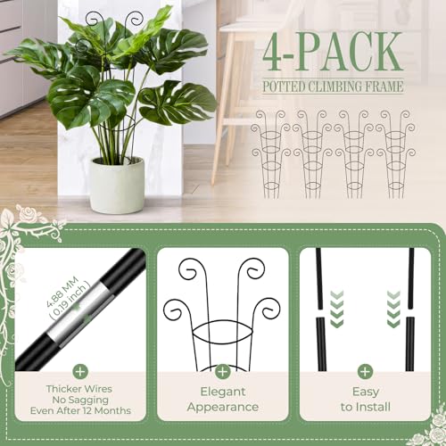 4 Pack 30 Inch Tall Metal Plant Trellis for Climbing Plants Indoor - Rustproof Garden Trellis for Potted Houseplants, Sturdy Support for Ivy, Pothos, Monstera, Hoya & Flower Vines - view 3