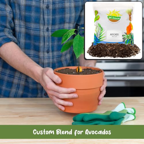 Avocado Tree Potting Soil Mix (12 Quarts) for Germinating, Growing and Repotting Avocado Plants - view 4