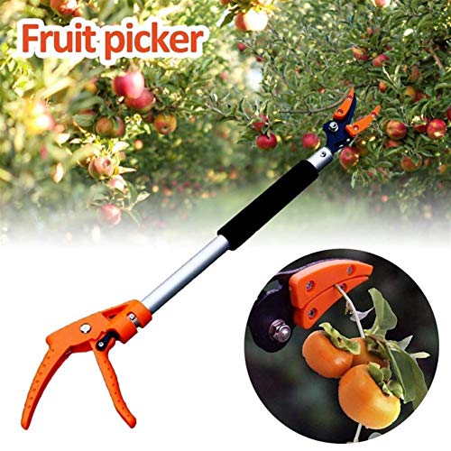 Pruning Shears, Garden Loppers Long Handle 0.6-1M Extra Long Telescopic Fruit Picker Tree Cutter Garden Supplies Quality Gardening Tool (0.8m) (0.8m) - view 6
