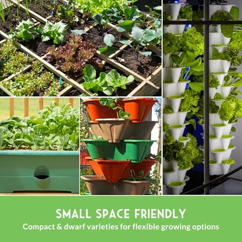 Tower Garden Seeds 15 Variety Collection for Planting - view 5
