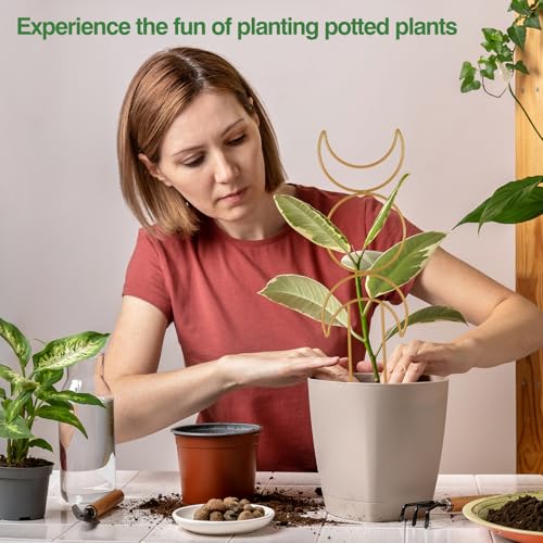 16inch Indoor Plant Trellis for Potted Plants - view 6
