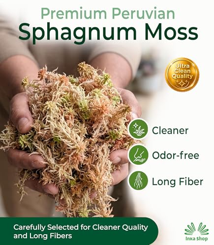 Inkashop Long Fiber Sphagnum Moss for Orchids and Carnivorous Plants 3.5oz - view 3