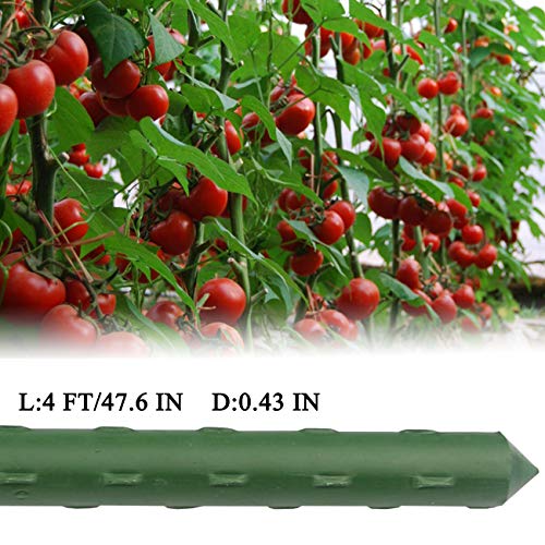 25 PCS 48" Plant Stakes Garden Tomato Sticks for Outdoor Plants - view 3