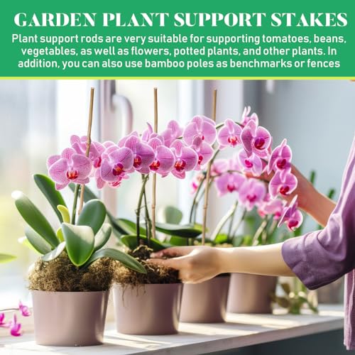 100 Pcs Bamboo Plant Stakes Natural Garden Support Sticks,2 ft - view 6