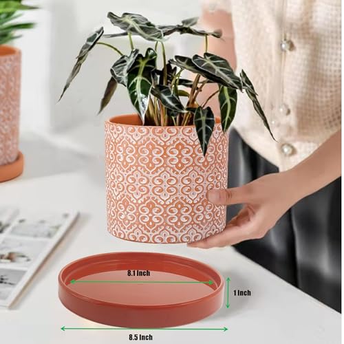 Ceramic Plant Saucer 2 Pack, 8 Inch Terracotta Red, Fits 7 to 8 Inch Pot Bases, Heavy Duty Glazed Drip Tray Catches Water for Indoor Outdoor Potted Plants - view 2