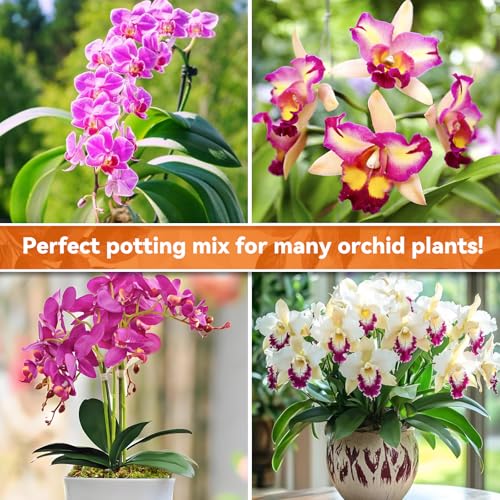 2QT Orchid Potting Mix for Repotting, Pre-Mixed & Ready-to-Use - view 6