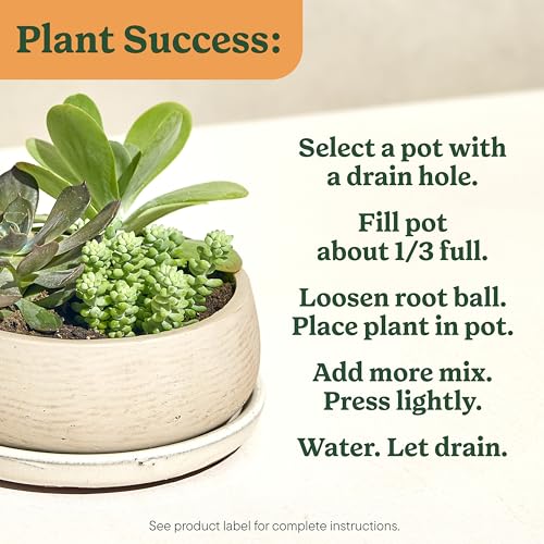 Indoor Potting Mix for Cactus & Succulent, 8 qt. (2-Pack) - view 6