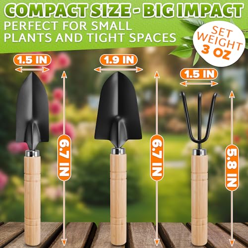 3 Pcs Mini Garden Tools, Shovel, Rake, Wooden Handles, Steel Heads - view 2