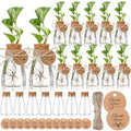 24 Pack 3.35'' Plastic Plant Propagation Stations with Hole Lid