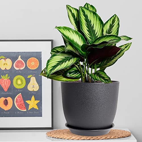 Plant Pots 10/9/8 inch, Set of 3 Modern Decorative Plastic Planters with Drainage Holes and Saucers for House Plants Indoor Flowers Plants, Black - view 7