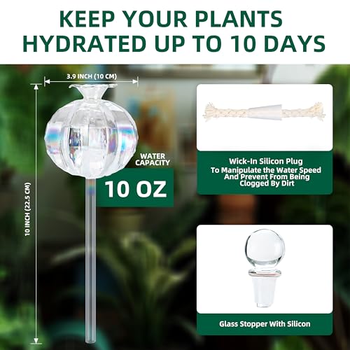 10 oz Large Top Fill Cactus Plant Self Watering Globes, Light Iridescent Glass Water Bulbs, Slow Release Watering Devices System Indoor | Outdoor Everyday Use, Water Spikes Stakes, 2 Pack - view 2