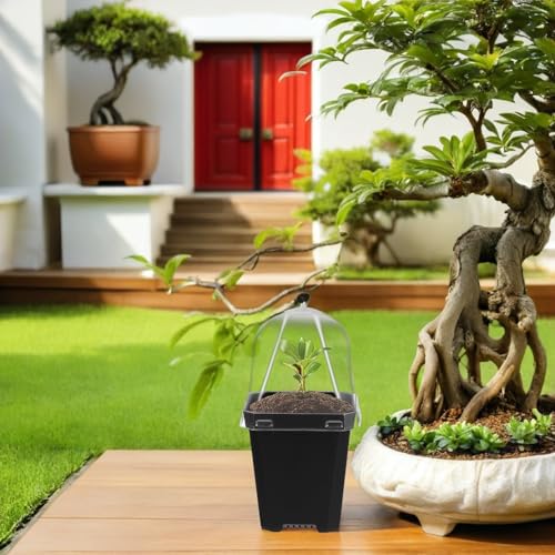 12 Sets Black Plastic Nursery Pots for Plant Propagation - view 4