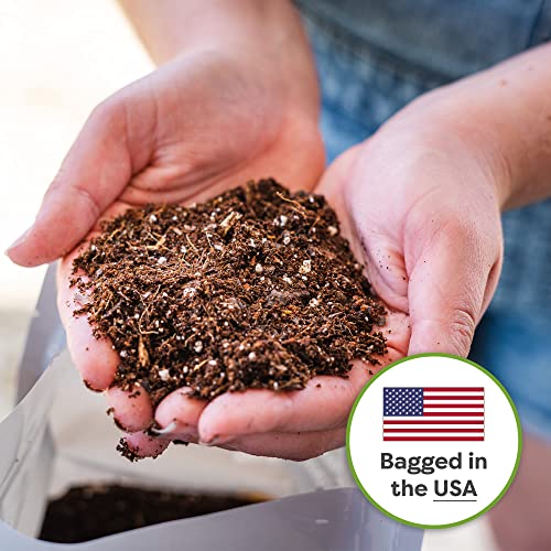African Violet Potting Soil, 2 qt, Organic Mix - view 6