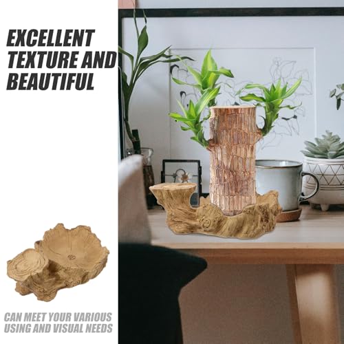 Hydroponic Plant Base Tray Resin Plant Pot Saucer for Indoor Houseplants Desktop Base Water Tray for Potted Plants Decorative for Home or Office 7.87 X 4.92 X 2.55 in - view 3