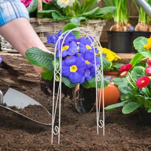 White Iron Plant Support Arch for Indoor Climbing Plants and Vines - view 5