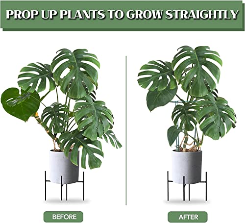 12 Pack 24 Inch Tall Snake Plant Support Stakes with 15 Twist Ties - view 2