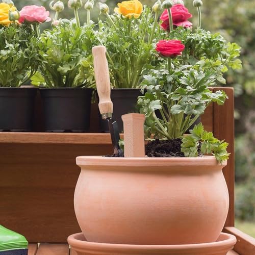 Plant Waterer Kit - Feed Ceramic Cone System, Consistent Root Moisture Delivery Tool Set, Controlled Drip Irrigation Device Pack | Pots Patio Balcony Garden for Pots Patio Balcony Garden - view 5