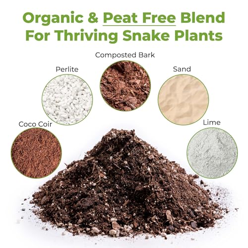 Snake Plant Soil, 4 qt, Coco Coir Potting Mix - view 2