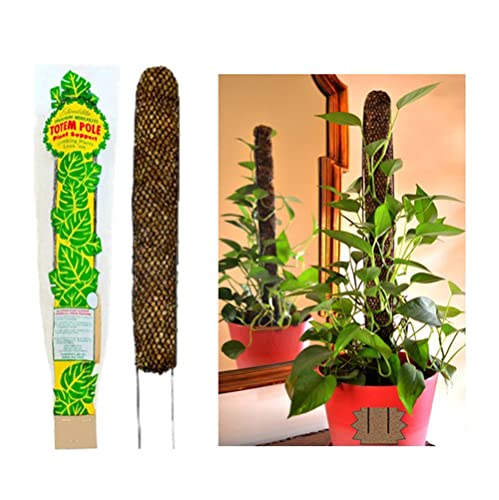 Sphagnum Moss Pole for Indoor Plants, Monstera Moss Pole, Plant Pole Made in USA - Ideal for Climbing Plants, Enhances Plant Growth & Stability - 12" Height - view 5