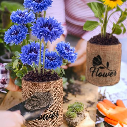 Indoor Daisy Garden Starter Kit, 4 Flower Seeds Growing into Shasta Daisy, Cornflower, Sunflower, Zinnia, Including Complete Gardening Tools for Women Men & Beginners - view 6