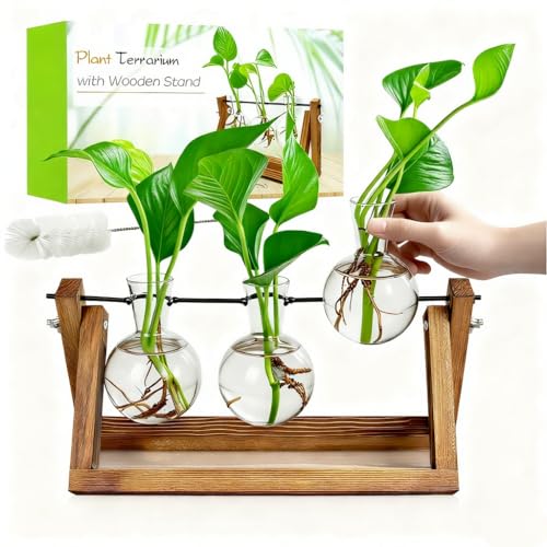 Plant Propagation Station, Plant Terrarium with Wooden Stand