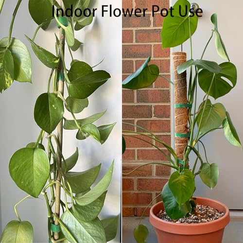 Plant Tape for Supporting Plants - 1/2" x 66ft Reusable Soft Garden Tie - view 3