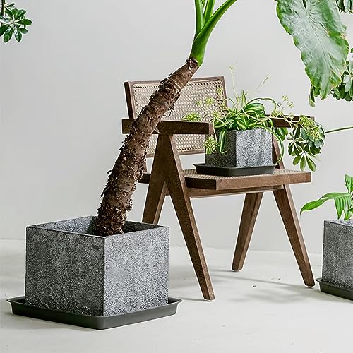 Square Plant Saucer 10 Inch 2 Pack, Durable Plastic Plant Trays Plant Pot Saucers, Square Planters for Indoors and Outdoors Plants, Garden Large Plant Saucers for Pots Black. - view 6