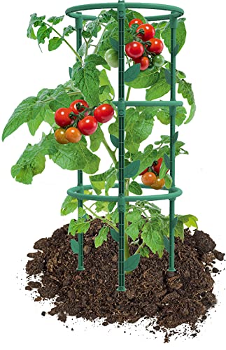Plant Support – To be assembled – Diameter 25 x 66.3 cm – Canada Green - view 4