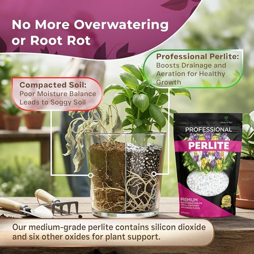 Leaves & Soul Perlite for Plants Medium Grade Perlite 2.2 Qt Soil Additive - view 4