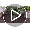 50 Pack 4/6/8/10/12 Inch Plant Saucer Clear Plastic Plant Trays - view 7