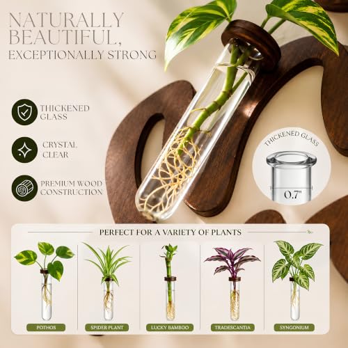 Leaf-Shaped Plant Hanging Propagation Stations with 6 Glass Vases & 1 Spare - view 2