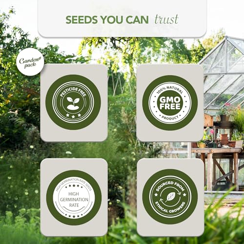 Vegetable Seeds Pouch - 50 Varieties of Vegetable, Herb & Flower Seeds for Planting - 25,000 Non GMO Heirloom Seeds - Gardening Gifts for Men and Women - view 5