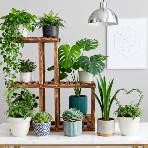 Trellis for Potted Plants, Small House Plant Support, Indoor Plant Trellis for Climbing Plants (Circle and Heart Shape) - view 7